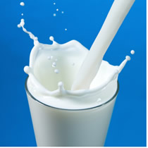 O leite é uma dispersão coloidal do tipo emulsão