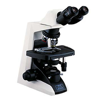 Microscópios ópticos de boa qualidade permitem ampliar objetos em até 1200 vezes
