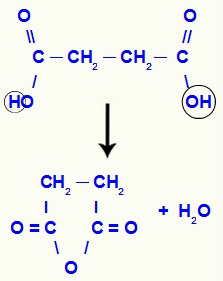 Equação de desidratação em um ácido carboxílico com duas carboxilas