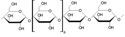 Trecho de macromolécula de amido formada por ligações glicosídicas entre moléculas de α-glicose