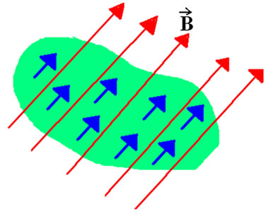 Um campo magnético externo tende a orientar os ímãs microscópicos de um material paramagnético