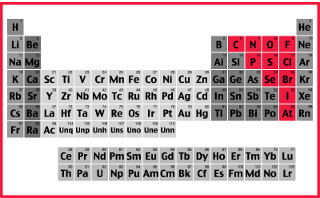Os elementos classificados como ametais ou não metais na tabela periódica são os destacados em vermelho na imagem acima